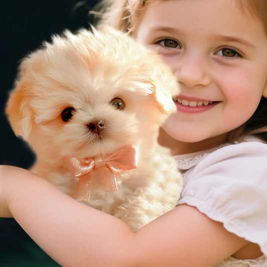 Waggles the Robotic Puppy