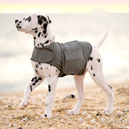 Calming Dog Anxiety Vest